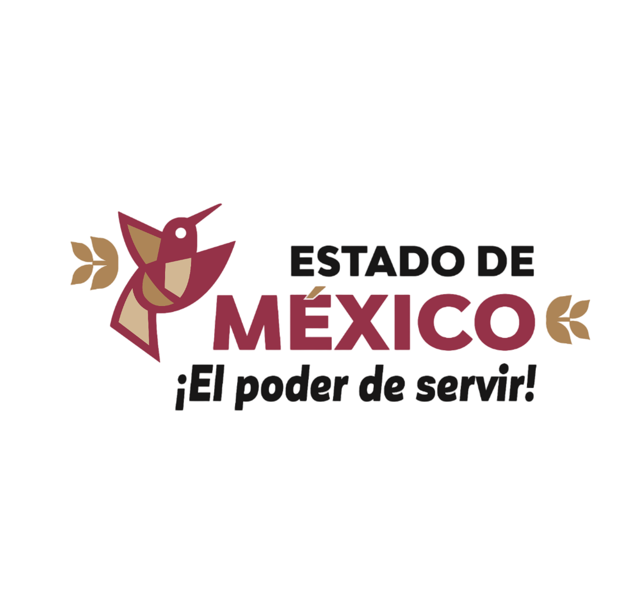 Estado de México, El poder es servir!