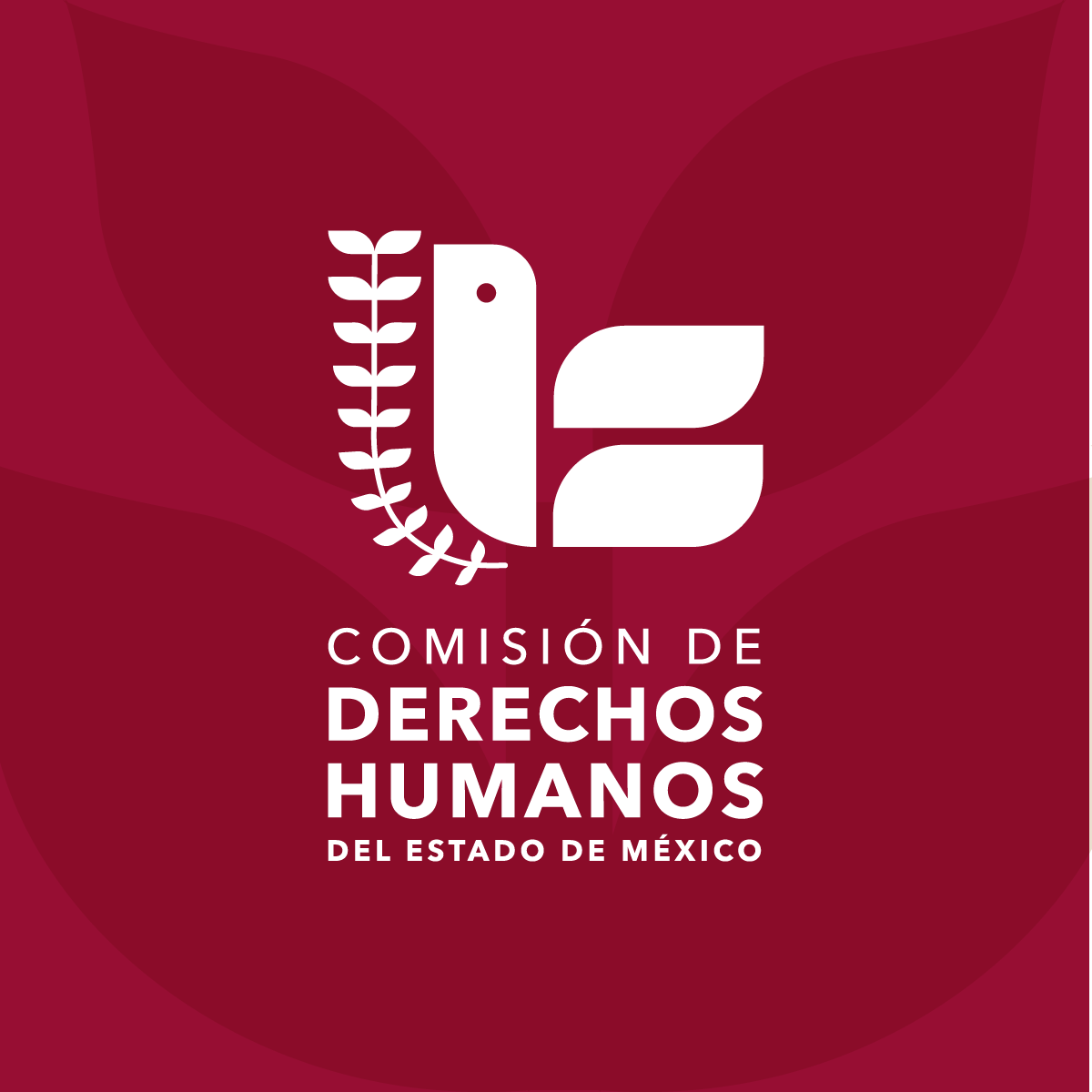 Comision de Derechos Humanos del Estado de Mexico