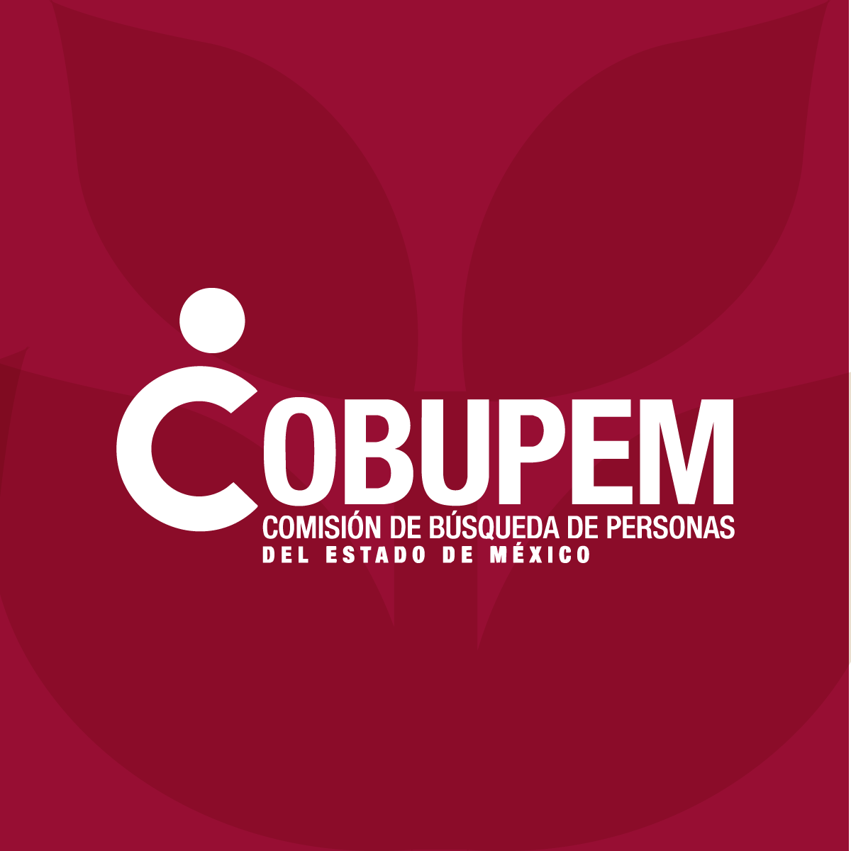 COBUPEM