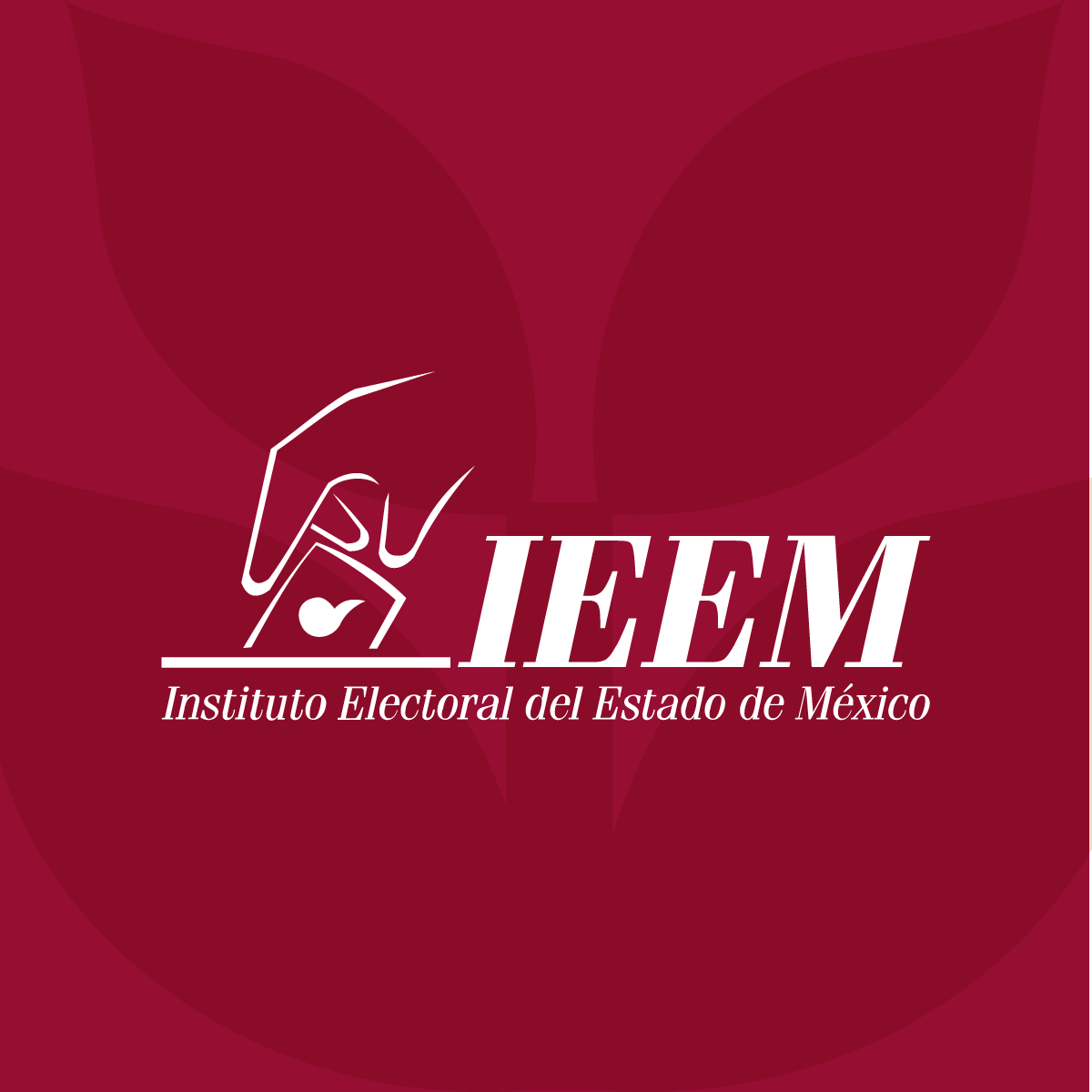 IEEM