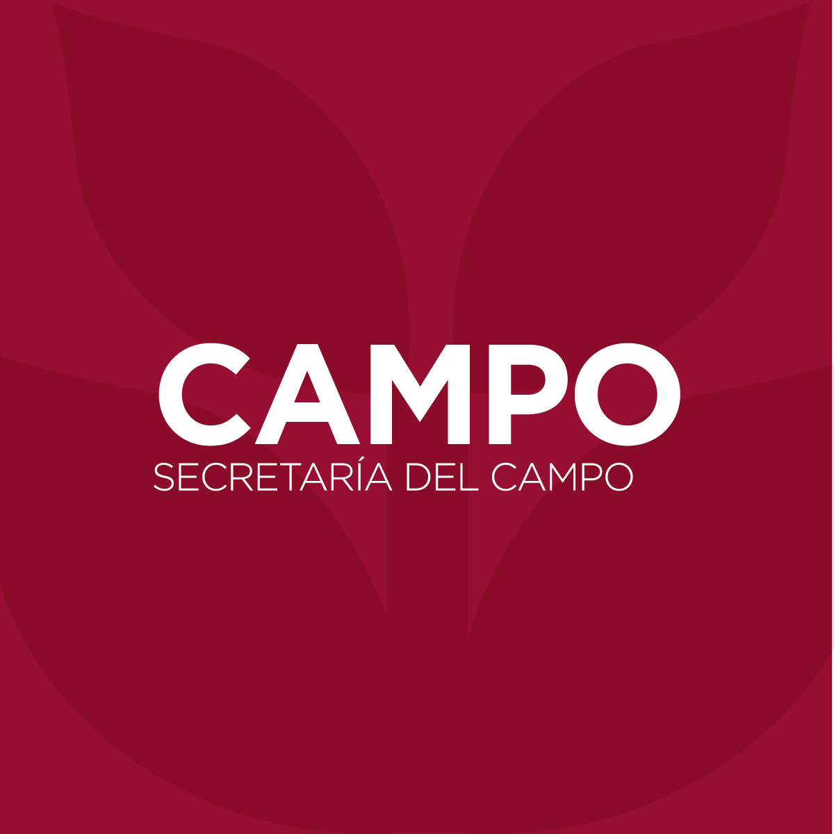 Secretaria del Campo