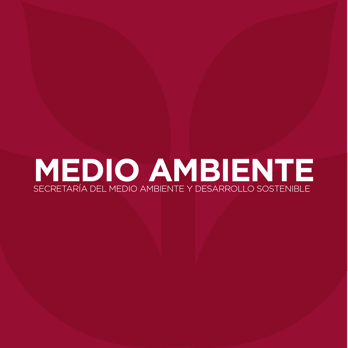 Secretaría de Medio Ambiente y Recursos Naturales