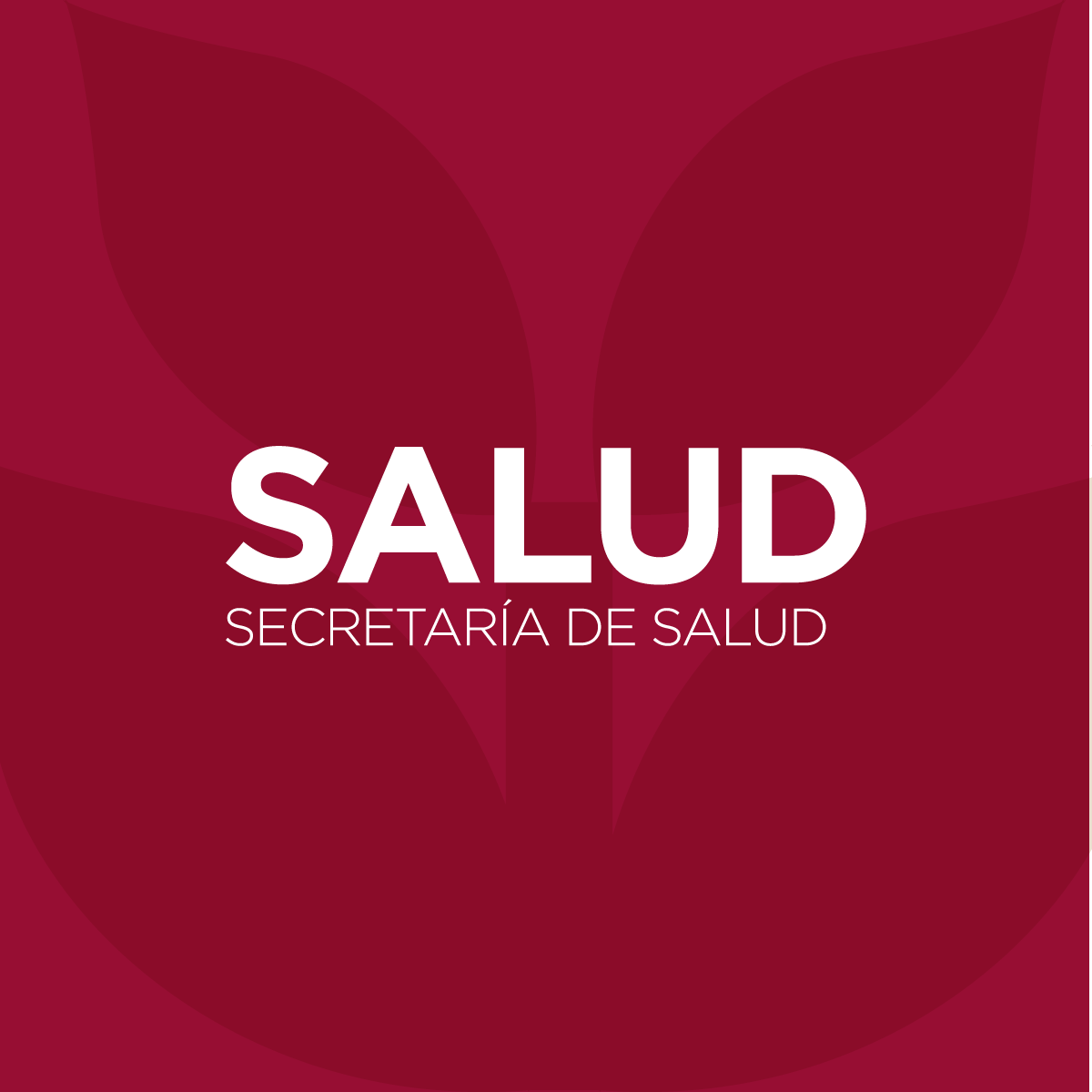 Secretaría de Salud del Estado de México